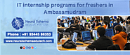 From Fresher to Pro: IT Internships at Neuralschema Edutech