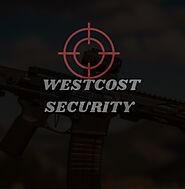 Understanding Cross-State Gun Purchases
