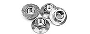 Flange Nuts Manufacturer, Supplier, and Stockist in India - Bhansali Fasteners