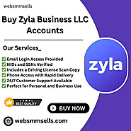 Buy Zyla Business LLC Accounts - Grow Your Business