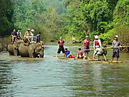 Elephant Riding and Bamboo rafting