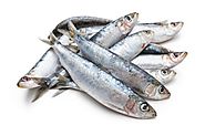 33 Amazing Health Benefits of Sardines Fish