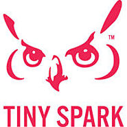 Tiny Spark | Investigating the Business of Doing Good