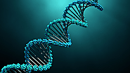 Genetics Home Reference: Enhancing Security with Cryptographic Encryption