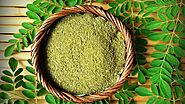 Moringa Tree: The Most Useful Plant