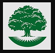 Canton Tree Care