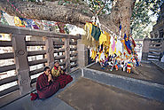 Bodhi Tree, Bodh Gaya