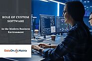 Role of Custom Software in the Modern Business Environment