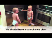 Compliance Babies
