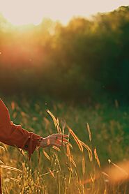Life Coaching Sacramento | Professional & Personal Coaching