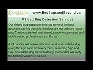 K9 Bed Bug Detection Services