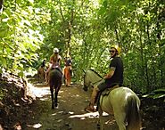 Jaco Tours and Activities - Costa Rica Royale