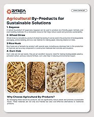 Turning waste into worth Discover how agricultural by-products lead the way in sustainable innovation