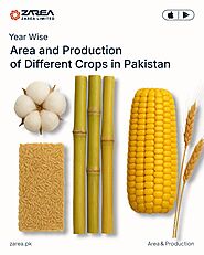 Pakistan’s crop yields and cultivation trends reveal a shifting agricultural landscape over the past five years.