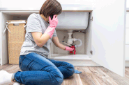 Drain Maintenance for Pet Owners: Keeping Fur Out of Your Pipes