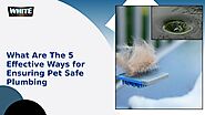 What Are The 5 Effective Ways for Ensuring Pet Safe Plumbing