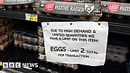 USA: Now to import eggs from Turkey and South Korea to ease prices