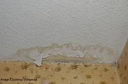 Simple Steps for Drying Walls After Water Damage