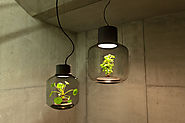 An Ecosystem that Grows Plants Anywhere - Design Milk
