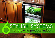 6 Stylish Systems to Keep Your Organic Vegetable Garden Growing Year-Round