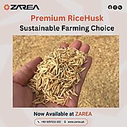 Rice Husk Now Available | Zarea Limited