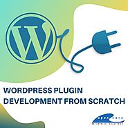 WordPress Plugin Development Company in Singapore