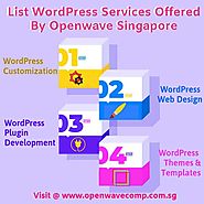 Hire a WordPress Developer For WordPress Development Needs in Singapore