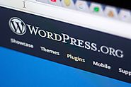 Certified Expert Wordpress Developers in Singapore