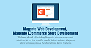 Magento Web Development, Magento ECommerce Store Development