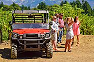 Johnson City Wineries Tour