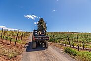 Fredericksburg Wineries Tour