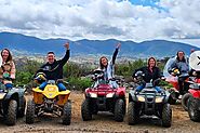 Johnson City Wineries Tour