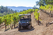 Fredericksburg Wineries Tour