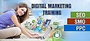 PHP, SEO, Digital Marketing Training Institute in Bhopal