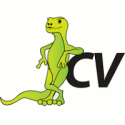 Can't Make a Great CV? You Need CV Writer!