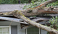 Tips for Filing an Insurance Claim for Storm Damage to Your Roof