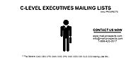 C-Level Executives Mailing List: CEO, CFO, CTO Email List