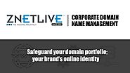 Corporate Domain Name Management by ZNetLive
