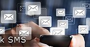 Bulk SMS is One of The Best Way For Marketing