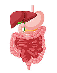 Pediatric GI Procedures in India | Expert Care