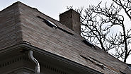 Prevent Shingle Damage with a Professional Roof Consultation