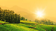 Luxury Munnar Tour Packages with 5-Star Resorts & Tea Plantation Views
