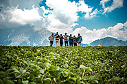 Budget Travel Munnar