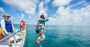 Key West Tour - System Shuttle and Tours