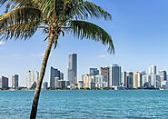 City Tour Miami