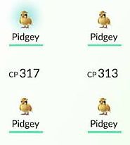 Capture and collect Pidgey