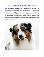 Ensure Good Health Of Your Pet With Vetmedin