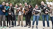 This Puppy Family Reunion is The Ultimate Happy Ending