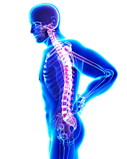 Where To Buy Hydrocodone Online?