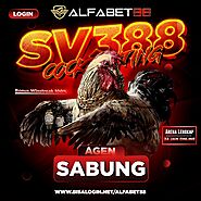 ALFABET88 AGEN TARUHAN SABUNG AYAM ONLINE TERPERCAYA